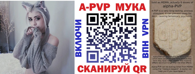 Альфа ПВП СК  Салаир 