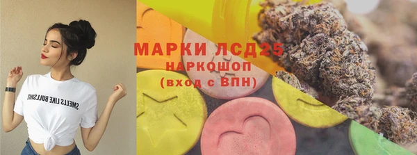 винт Аркадак
