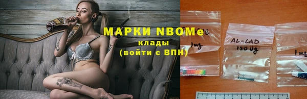 винт Аркадак