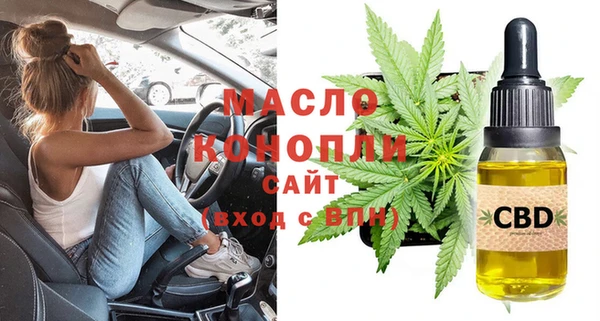 сатива Армянск