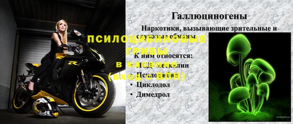 сатива Армянск