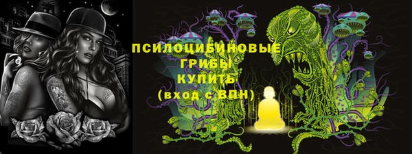 сатива Армянск