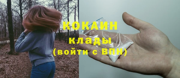 винт Аркадак