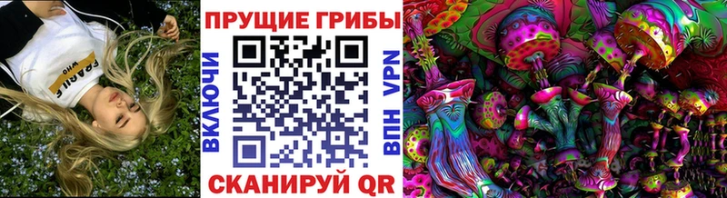darknet состав  Салаир  Галлюциногенные грибы GOLDEN TEACHER 